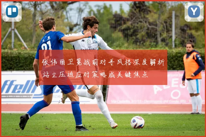 张伟丽卫冕战前对手风格深度解析站立压迫应对策略成关键焦点