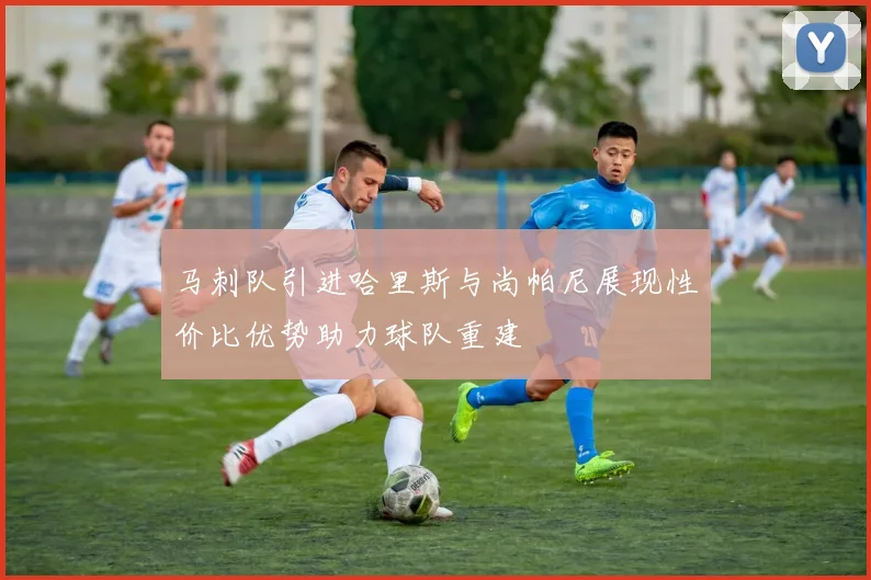 马刺队引进哈里斯与尚帕尼展现性价比优势助力球队重建