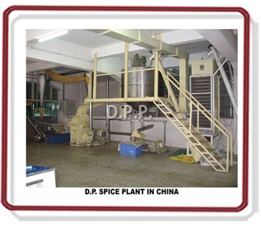 D.P.Spice Plant in china